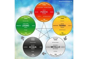 La storia della medicina tradizionale cinese in Occidente
