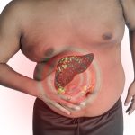 Il fegato: anatomia, funzioni e strategie per depurarlo