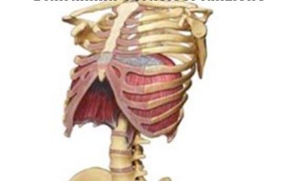 La respirazione diaframmatica come tecnica di benessere