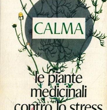Le piante adattogene che aiutano contro lo stress