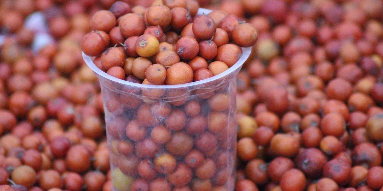 L’alimentazione ayurvedica: principi e applicazioni pratiche