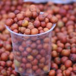 L’alimentazione ayurvedica: principi e applicazioni pratiche