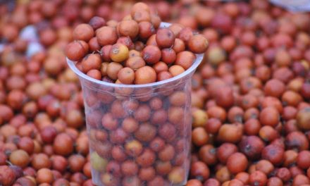 L’alimentazione ayurvedica: principi e applicazioni pratiche