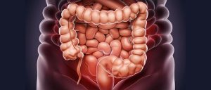 La connessione tra intestino e cervello nella psicosomatica