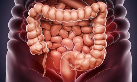 La connessione tra intestino e cervello nella psicosomatica