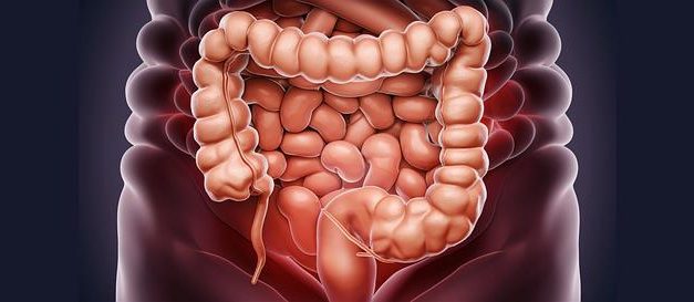 La connessione tra intestino e cervello nella psicosomatica