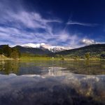 Il potere del tè bianco: proprietà e preparazione corretta