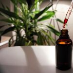 La vitamina B12: fonti, carenze e rischi per la salute