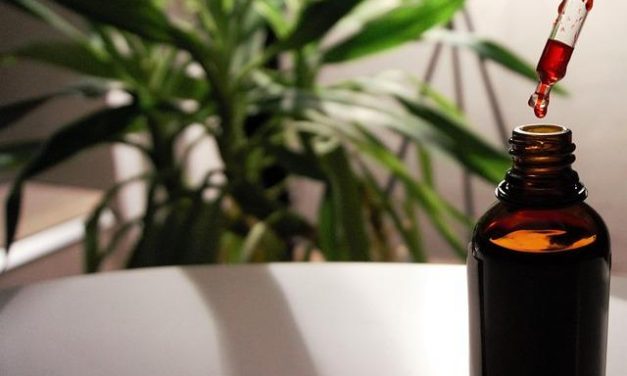 La vitamina B12: fonti, carenze e rischi per la salute