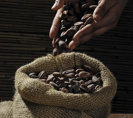 Il cacao crudo: proprietà nutrizionali e benefici psicologici