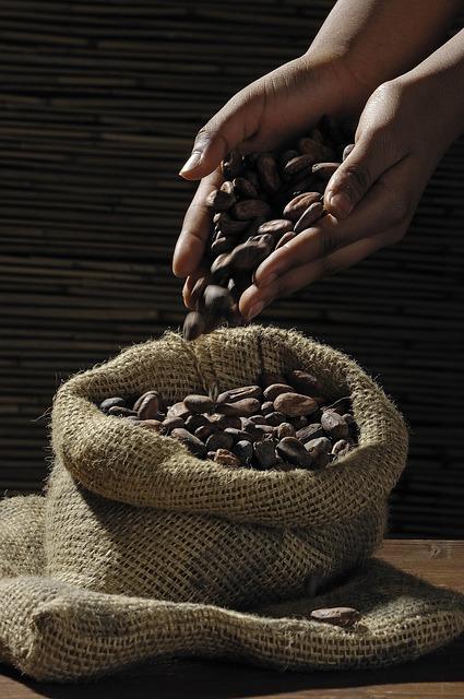 Il cacao crudo: proprietà nutrizionali e benefici psicologici