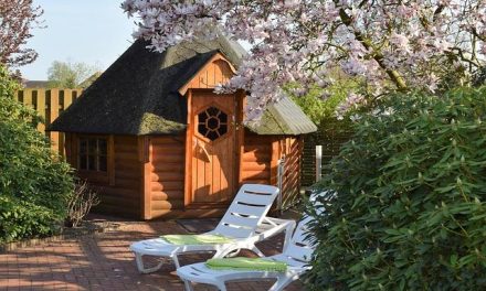 I benefici della sauna nordica sul sistema cardiovascolare