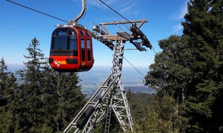 I benefici del pilates per postura e mobilità articolare