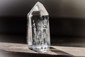 I benefici dei semi oleosi per cuore e cervello