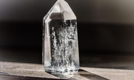 I benefici dei semi oleosi per cuore e cervello