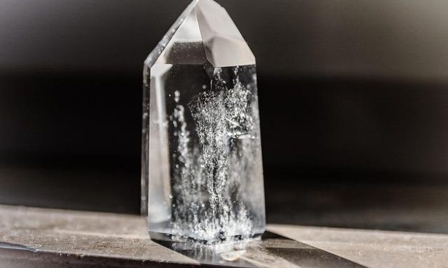 I benefici dei semi oleosi per cuore e cervello