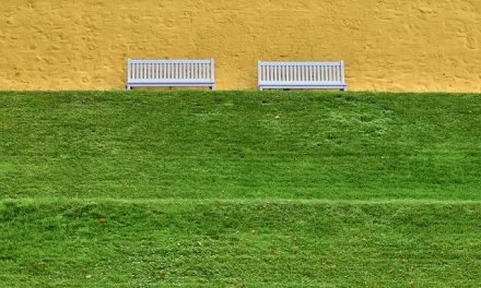 Il potere del silenzio per la salute mentale