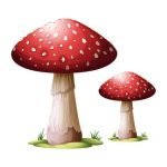 I funghi medicinali nella tradizione orientale