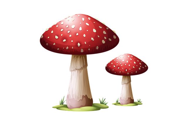 I funghi medicinali nella tradizione orientale